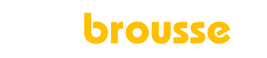 Logo Taxibrousse.mg